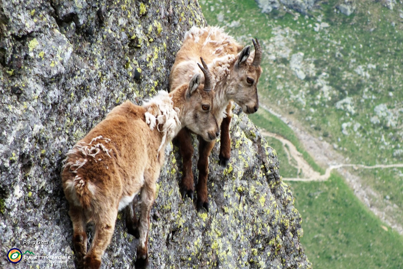 24 Acrobati sulle rocce.JPG